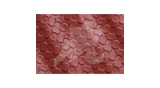 SETA EMBOSSING (7)