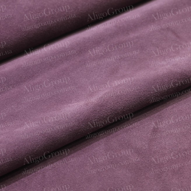 Aligo Group фото