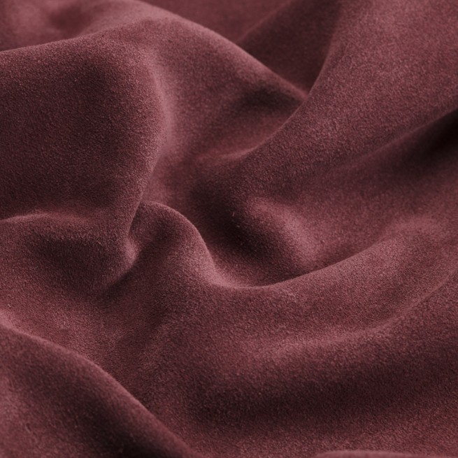 Aligo Group фото