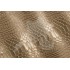 Aligo Group фото